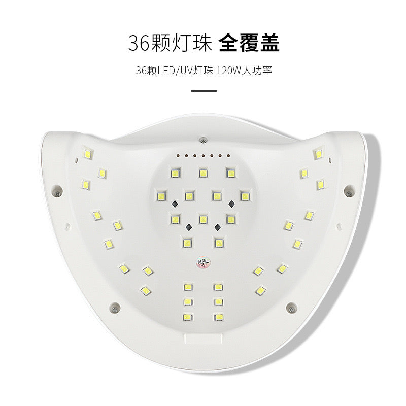 UV Lamp